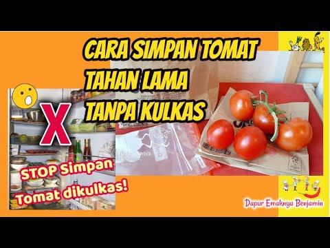 Video: Metode menyimpan tomat segar sebelum Tahun Baru