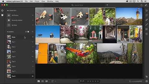 How to organize your photos in albums in Lightroom