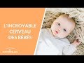 L'incroyable cerveau des bébés - La Maison des maternelles #LMDM