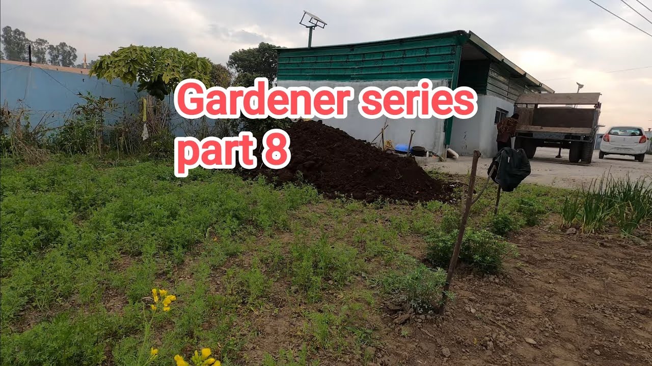 Gardener Series Part 8: The Power of Black Gold! 🌿 | Soil Preparation #gardener  February 2026