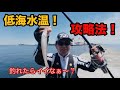 【赤灯台】キスまだ早い?水温上昇待ちの現状調査(投げ釣り)