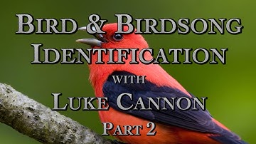 Bird & Birdsong Identification with Luke Cannon Part 2