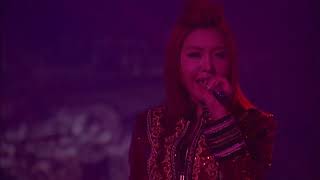 2NE1 - CRUSH (2014 2NE1 WORLD TOUR  ALL OR NOTHING  in JAPAN)