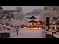 忘れ雪(野中彩央里)♪♪ カバー