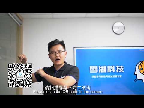 YoloV3 Tiny FPGA Object Detection zu7 127FPS 目标检测 目标识别 Snowlake