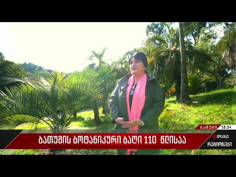 ბათუმის ბოტანიკური ბაღი 110 წლისაა