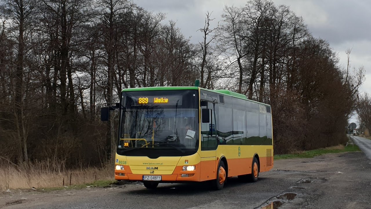 TP Bus Tarnowo Pdg. - linia 889 | MAN NM243 Lion's City #8038