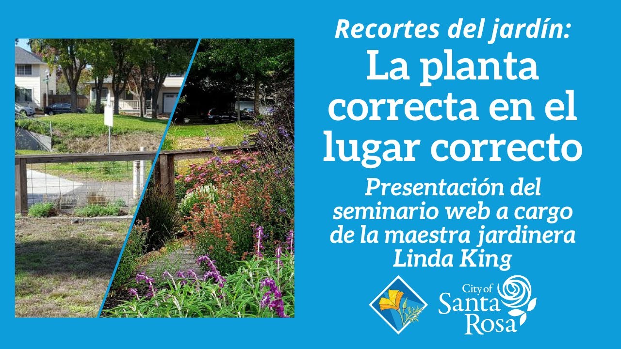 Recortes del jardín: La planta correcta en el lugar correcto (Español)