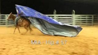 Hip Mia - Jake Clark Mule Days