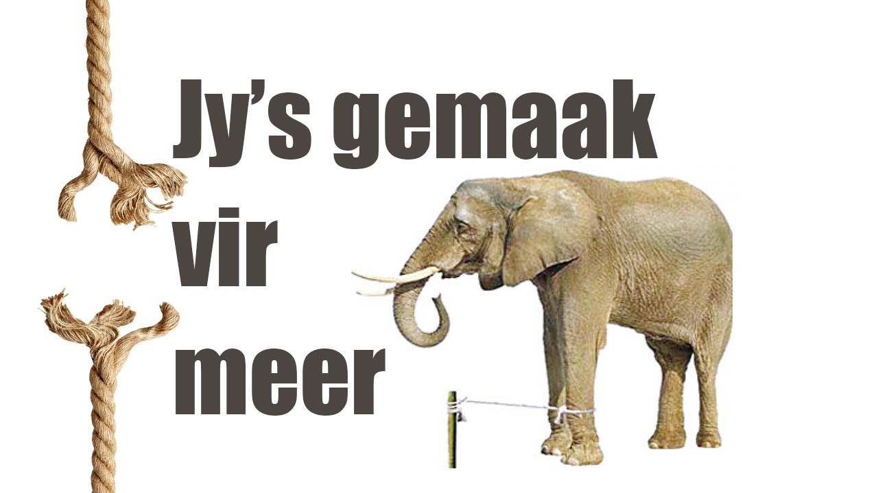 Gemaak vir meer  - Clemens Mans