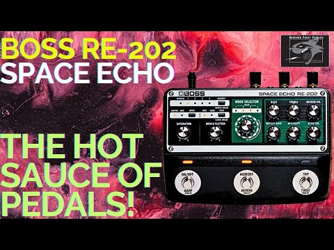 The Boss Space Echo RE-202 Guitar Pedal is the Galaxy's Hot Sauce!