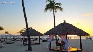 Alan White - Beach Bar House Love  Mix  2