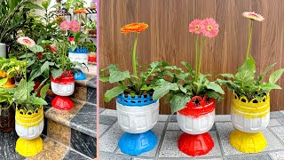 Beautify the garden with discarded plastic bottles, tell you how to make simple pots