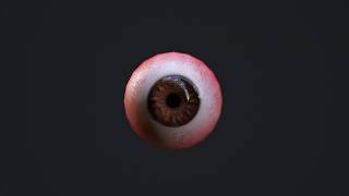 Marmoset Brown eye video-Sky- RealTime