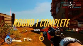 Roadhog Roadkill
