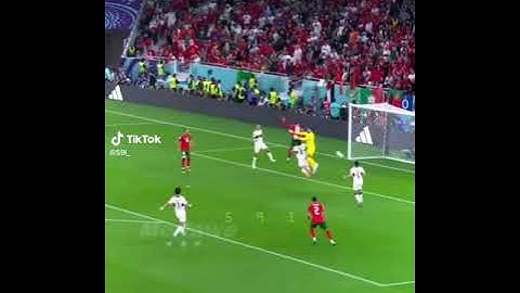 هدف اسود الاطلس المغرب على البرتغال😍🔥#worldcup #quatar2022 #portugal #morocco #subscribe #shorts