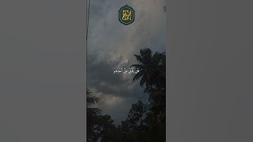 ❤️ تلاوة خاشعة جميلة بصوت ماهر المعيقلي ارح سمعك #ماهر المعيقلي #اكسبلور فولو #27