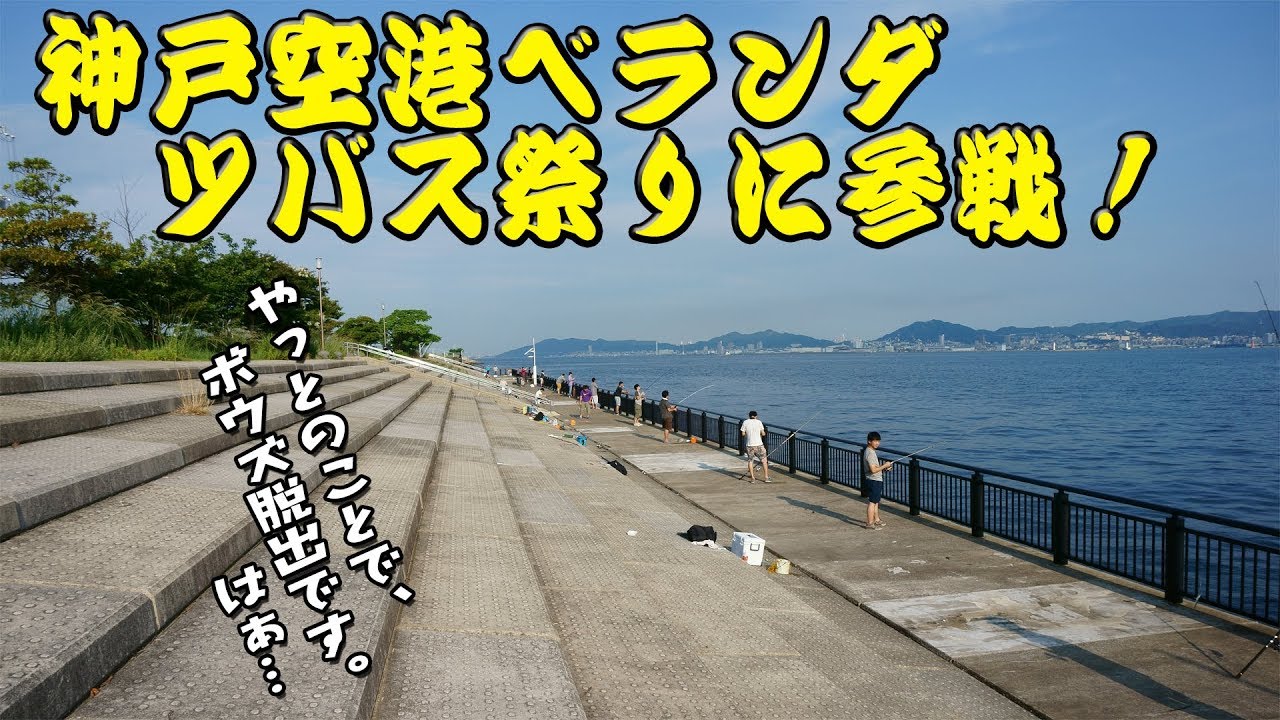 釣り 神戸空港ベランダ 噂のツバス祭りに参戦してきました ｎｏｔｔａ