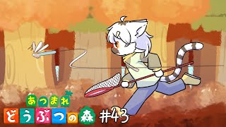 【 あつまれどうぶつの森 】このサムネが使われる頃には、おそらく12月に入っているでしょう #43【白瀧炬燵/One Lyric】