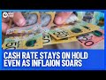 Reserve Bank Of Australia Keeps Cash Rate Steady As Inflation Continues To Soar | 10 News First