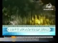 سورة الملك سورة تبارك بصوت ميثم التمار YouTube 