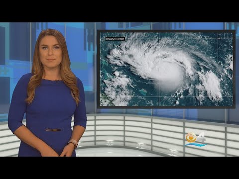 Hurricane Dorian Delivers Strong Winds, High Surf, Bricks Of Cocaine To Florida