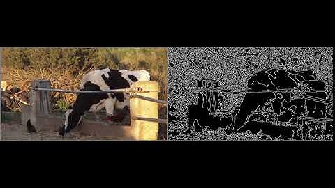 Canny Edge Detector - Video From File