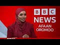 Oduu Bbc News Afaan Oromoo 20 7 2025 Oduu Bbc News Afaan Oromoo 20 7 2025