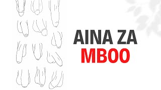 AINA ZA MBOO