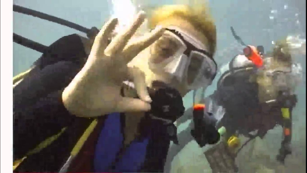 Cairns Dive Centre, Open Water Course