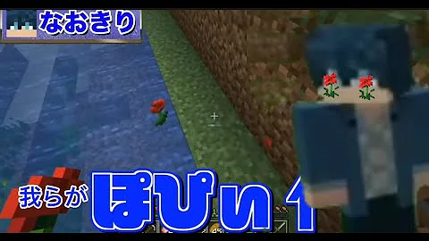からぴちポピー からぴちポピー