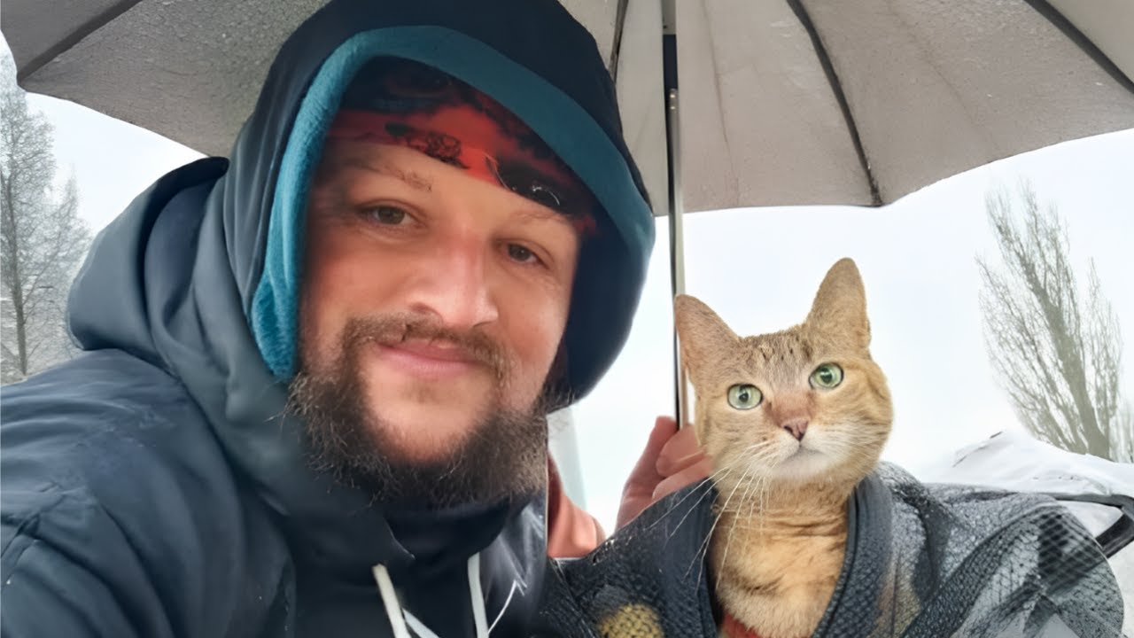 Kitten Abandoned In Rain – Now She Travels The World