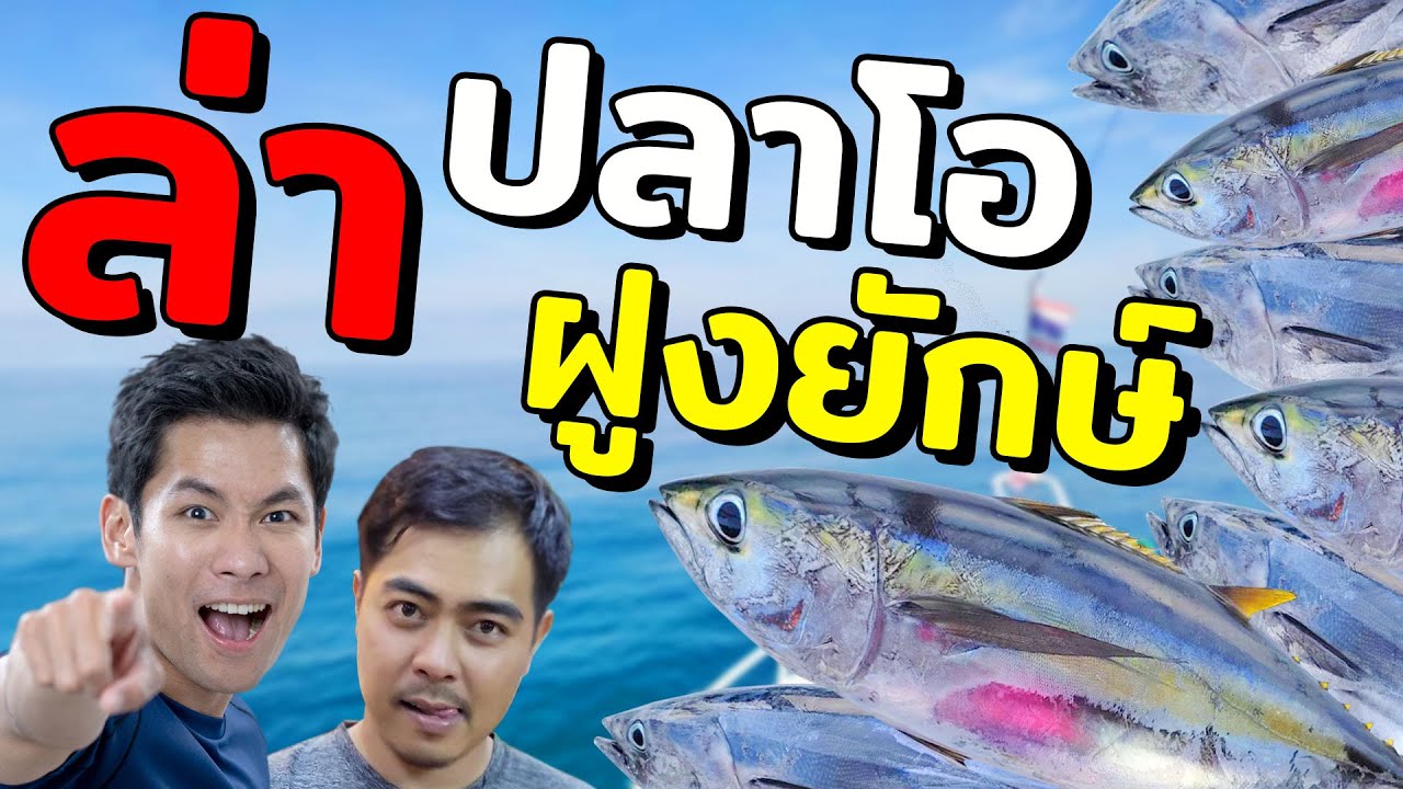 ล่าปลาโอฝูงยักษ์!!  [คนหลงรสEP85]