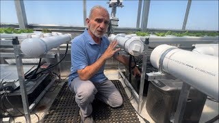 To Chill or Heat: The Hydroponic Question