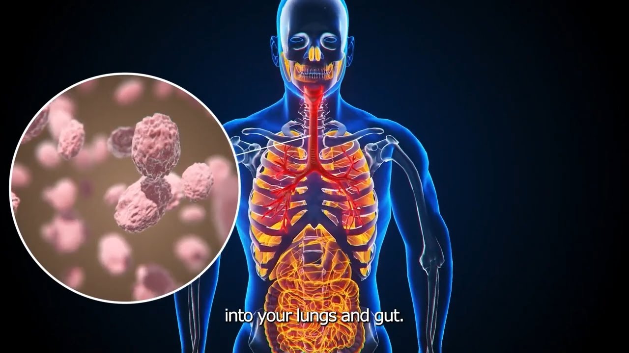 Restore Damaged Gums | Rebuild Decayed teeth | Eliminate Bad Breath for Good