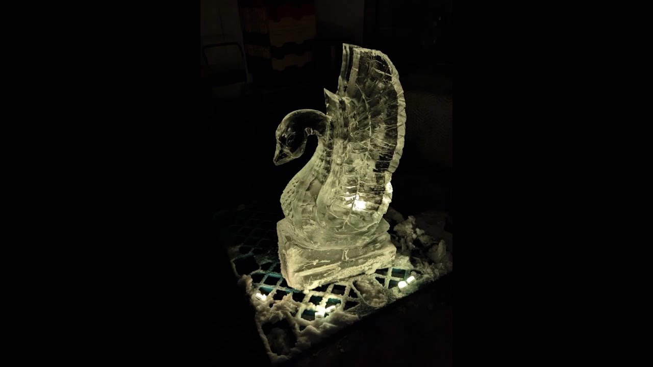 STOP LOOKING AT ME SWAN ICE SCULPTURE