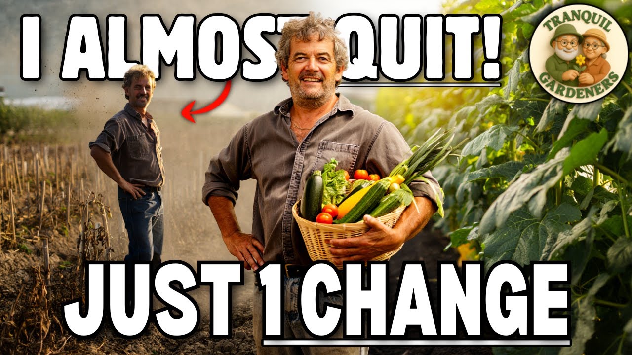 My Garden Produced NOTHING Until I Did This One Thing! (Year End Review)