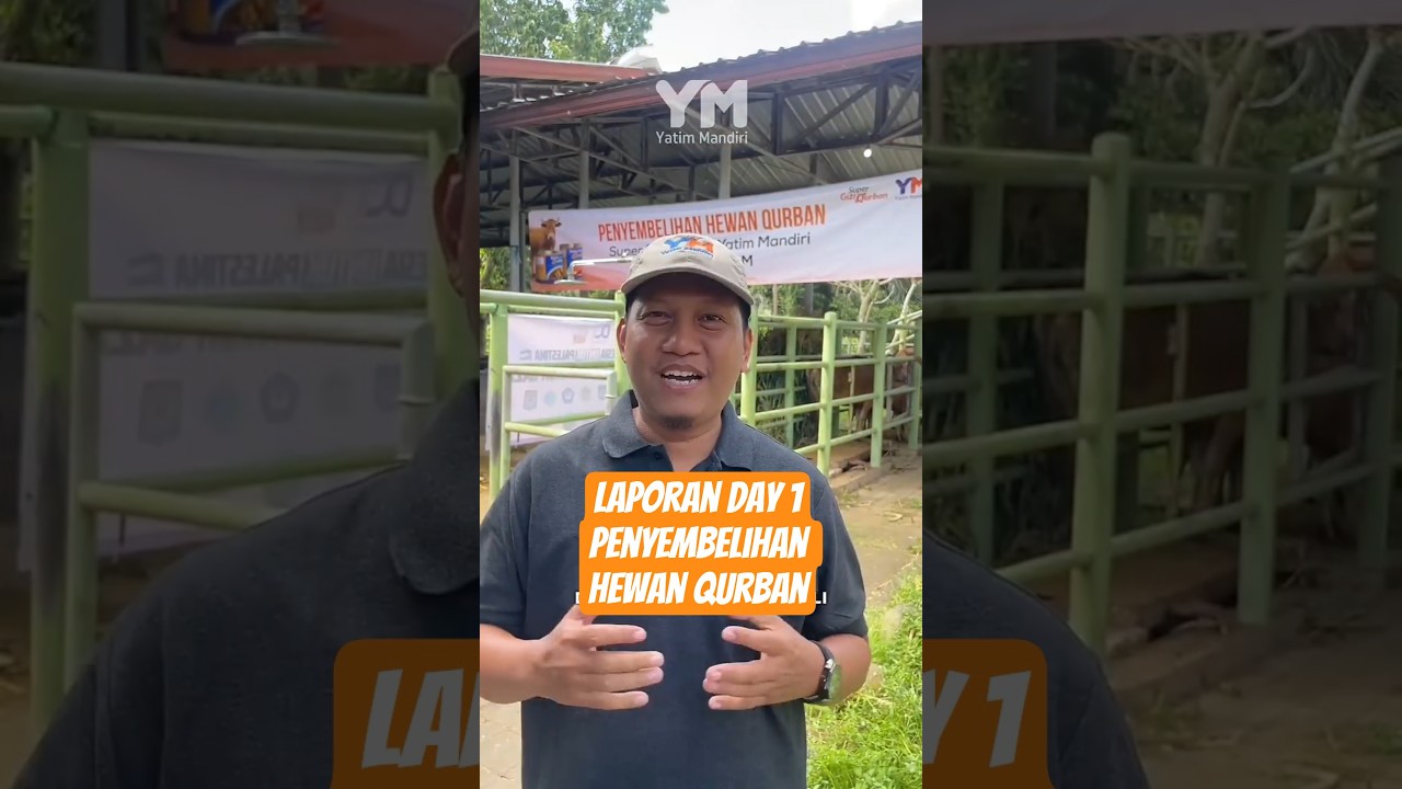 Super Gizi Qurban On Proses #yatimmandiri #vidioshort #qurban2026 #fypシ゚viral