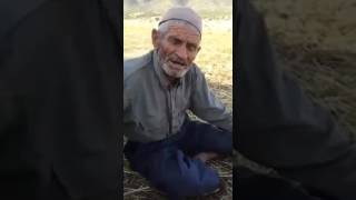 Yaşlı Dede