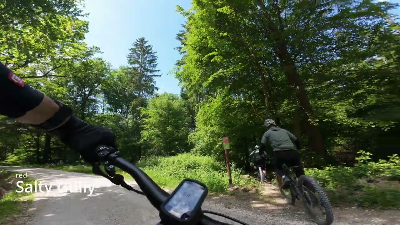 Naturfreunde Lichtenwald alle legalen MTB Trails 2025