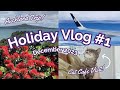 Home for the Holidays! First Two Days in Auckland | North Head, Devonport, and a Cat Cafe!