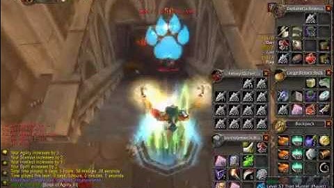 Joana doing the "Zaeldarr the Outcast" quest in WoW