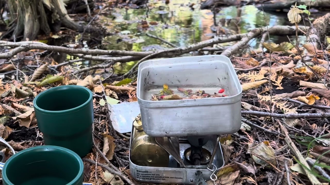 Vintage Camp Stove Optimus 99 field test and herbal tea - YouTube
