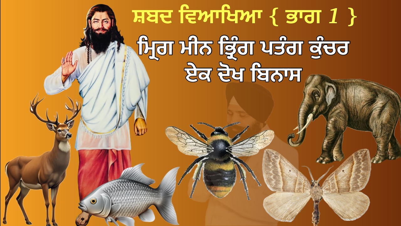 ਸ਼ਬਦ ਵਿਆਖਿਆ | ਮ੍ਰਿਗ ਮੀਨ ਭ੍ਰਿੰਗ ਪਤੰਗ ਕੁੰਚਰ ਏਕ ਦੋਖ ਬਿਨਾਸ | ਭਾਗ ਪਹਿਲਾ |  Bahi Deep Sandeep Singh