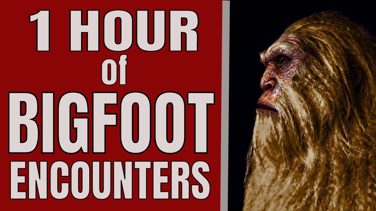 Bigfoot Ultra Marathon 3 1 HOUR of Bigfoot Encounters YouTube