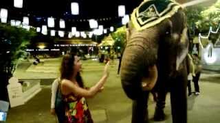Thailand | Bangkok | Phuket | Phi Phi | Koh Chang | 2012-2013