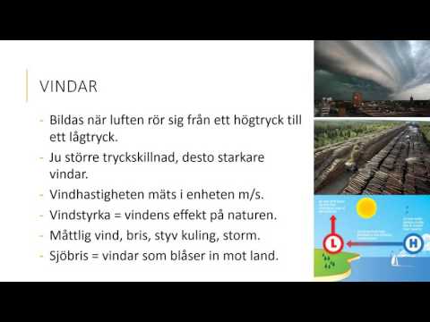 Video: Meteorologiskt Beroende: Skäl