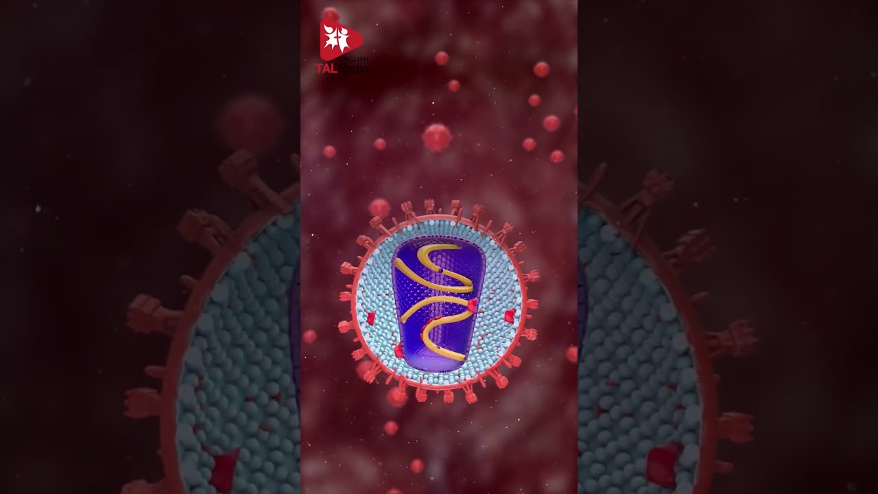 Elton's Philanthropic Melody