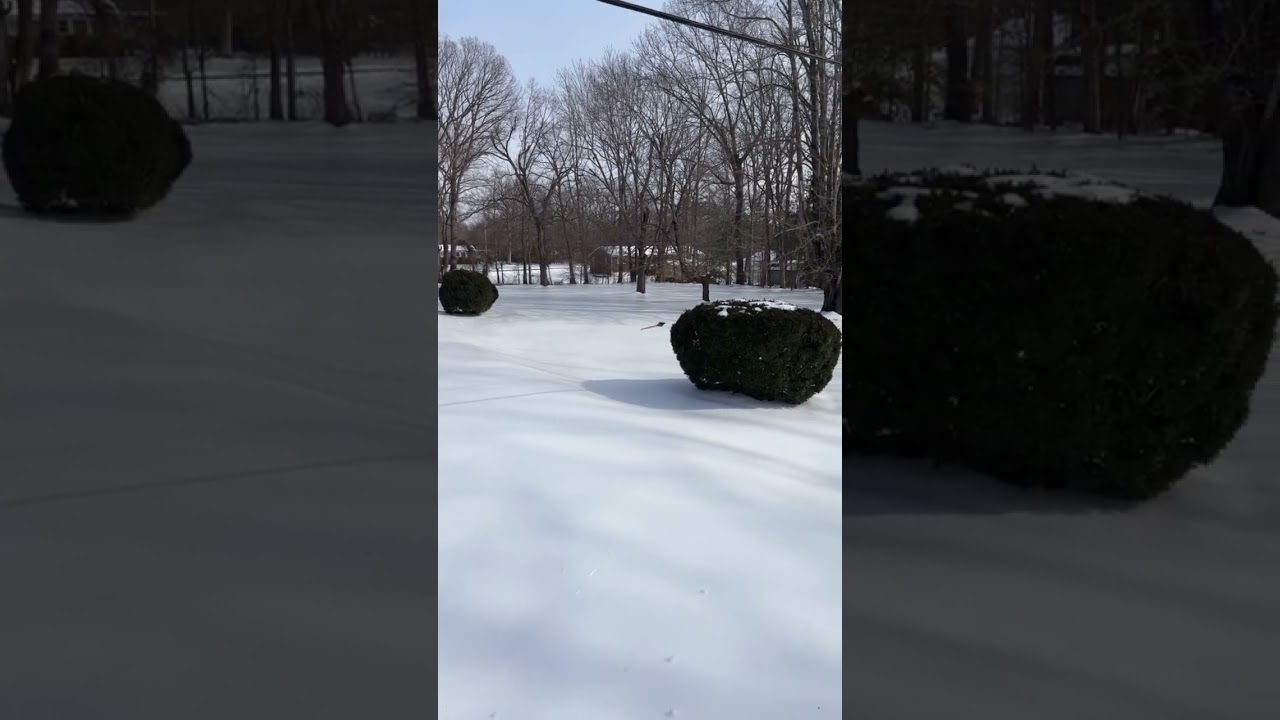 Не придумаешь.