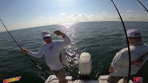 Mangrove Snapper Techniques for Inside Tampa Bay